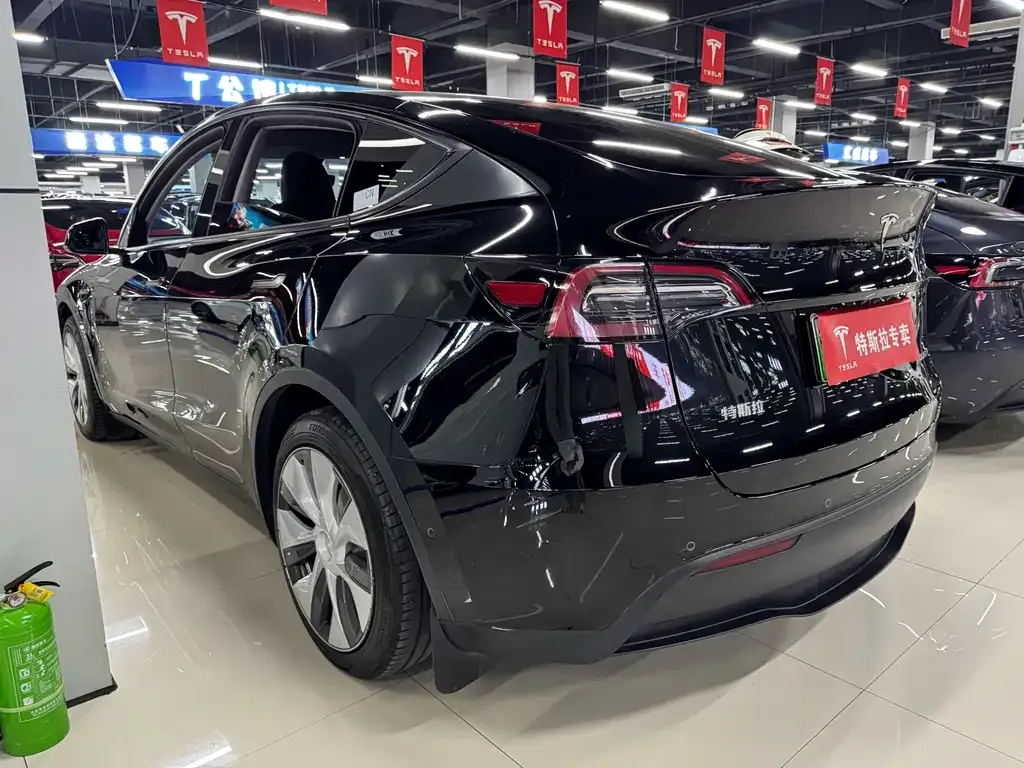 Tesla Model Y — фото 8