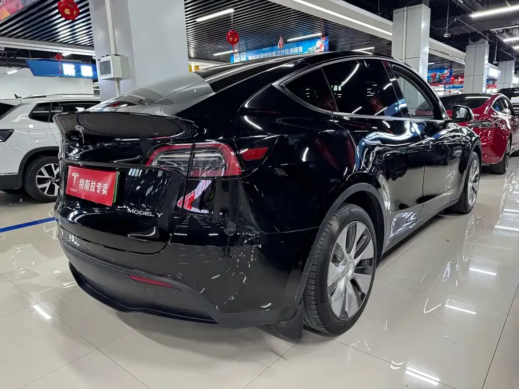 Tesla Model Y — фото 9