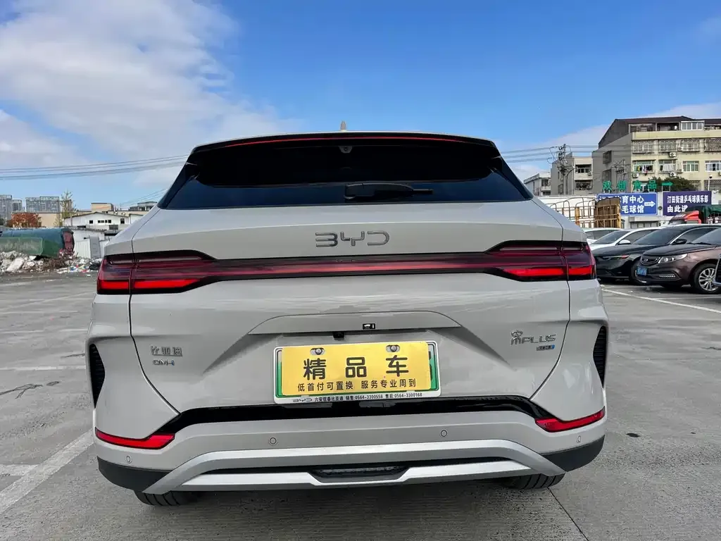BYD PLUS New Energy 2025 из CN, фото 10