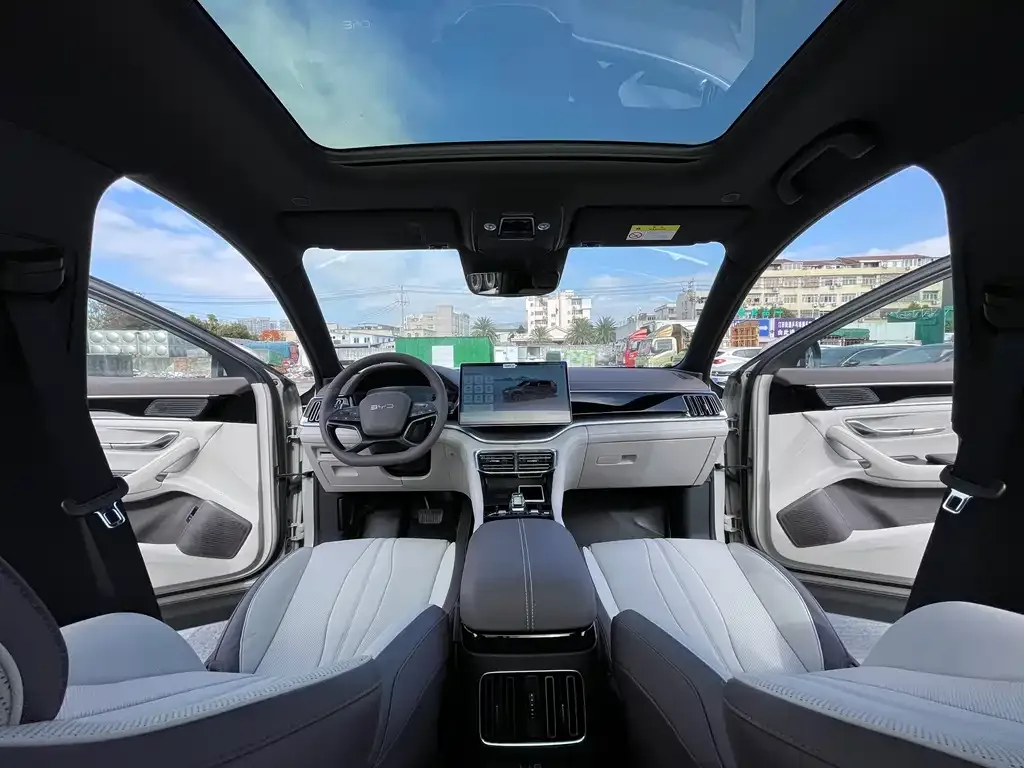 BYD PLUS New Energy 2025 из CN, фото 4