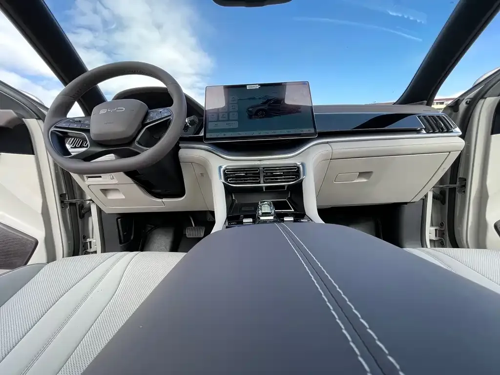 BYD PLUS New Energy 2025 из CN, фото 8