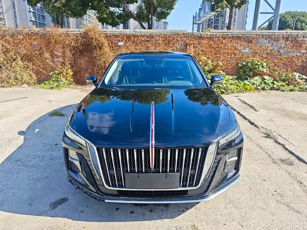 Hongqi H5 2023 из CN, фото 1
