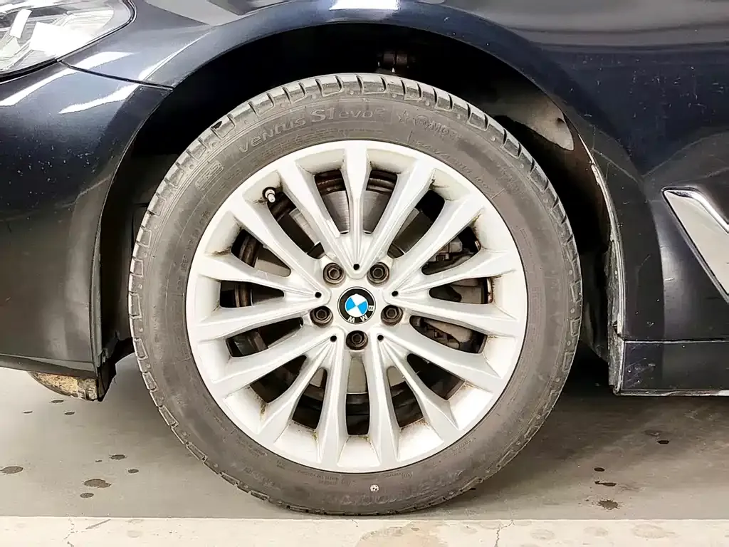 BMW 5 Series 2024 из CN, фото 5
