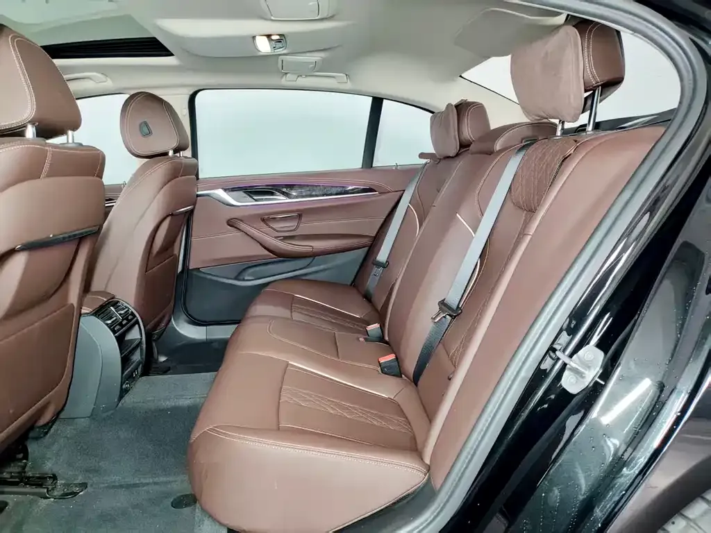 BMW 5 Series 2024 из CN, фото 9