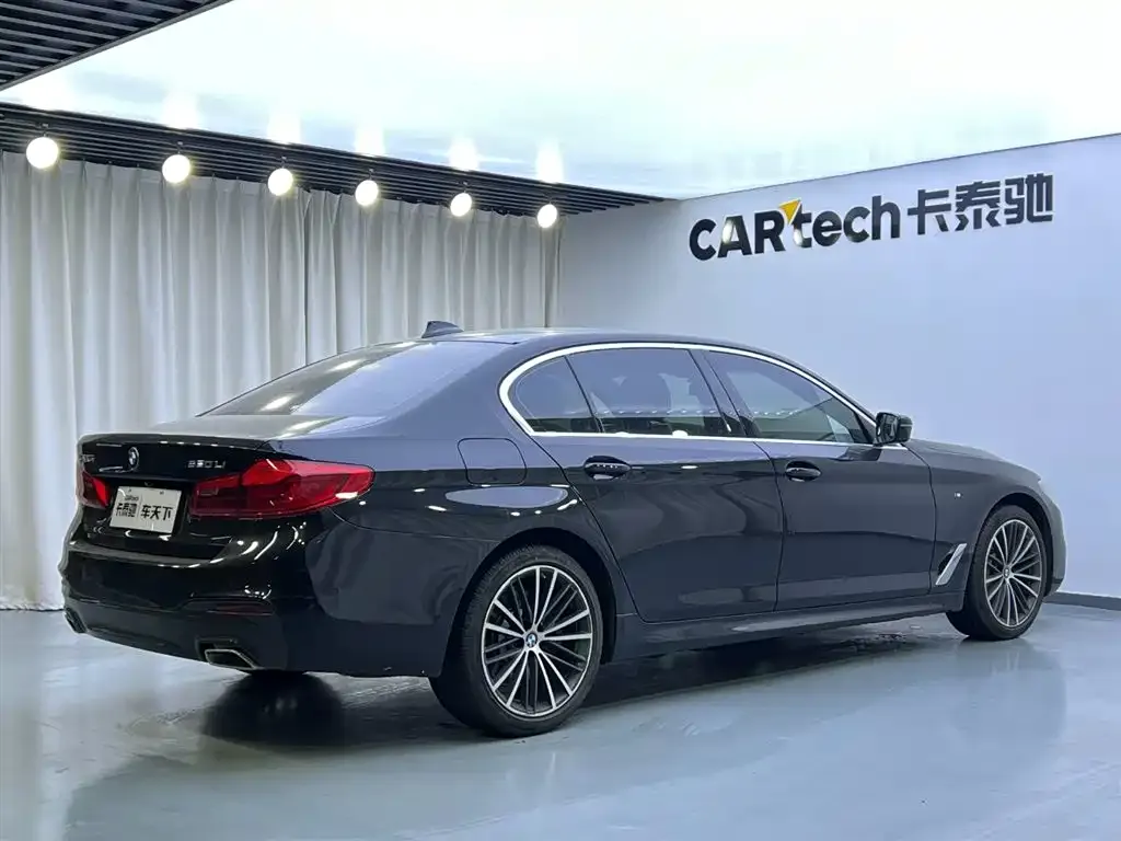 BMW 5 Series 2021 из CN, фото 3