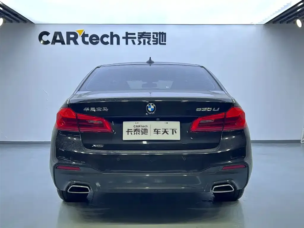 BMW 5 Series 2021 из CN, фото 4