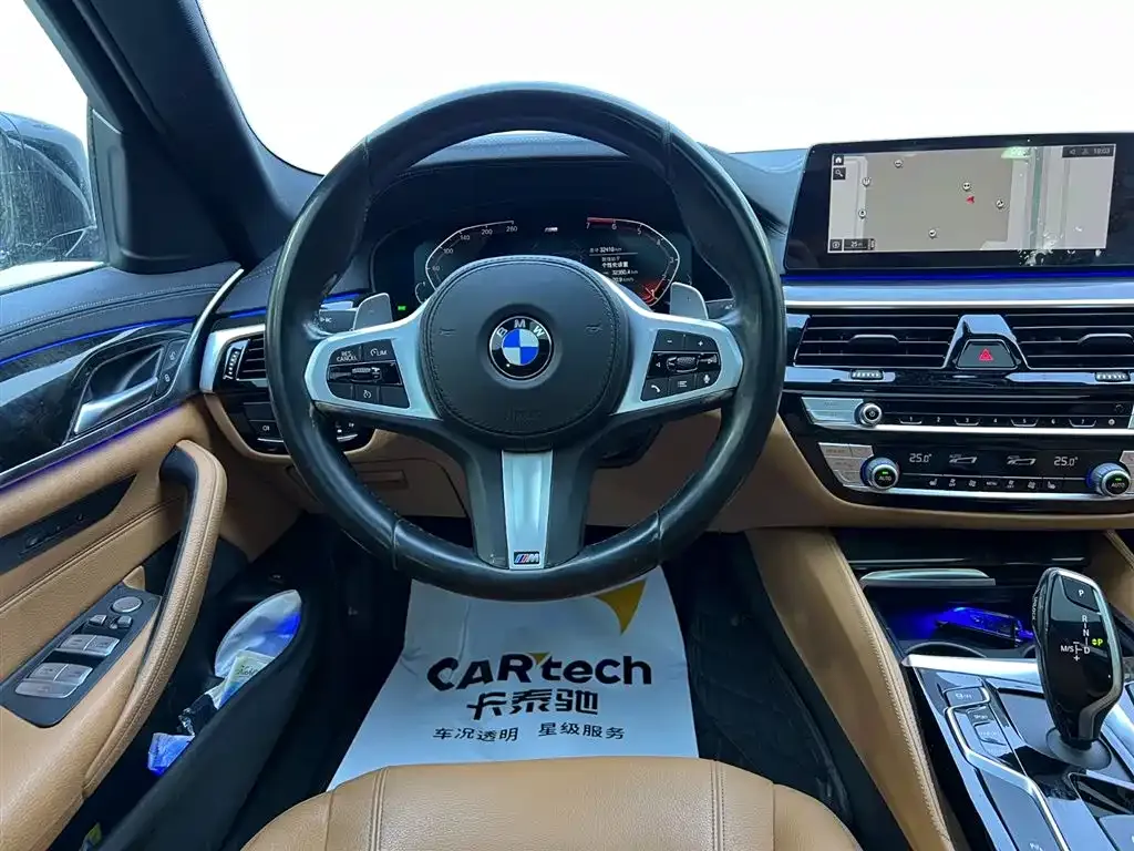 BMW 5 Series 2021 из CN, фото 8