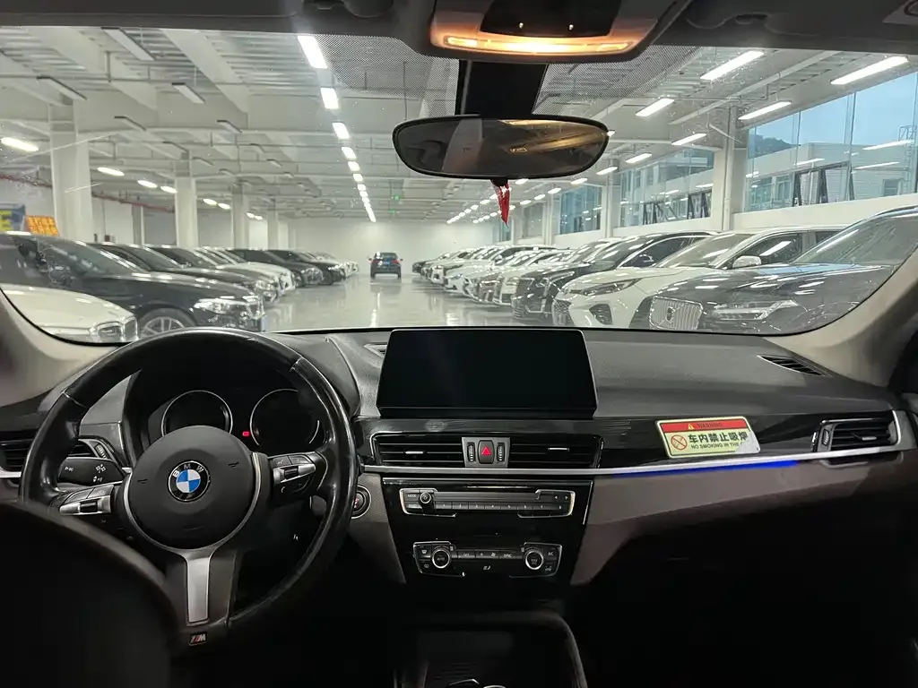 BMW X1 2021 из CN, фото 6