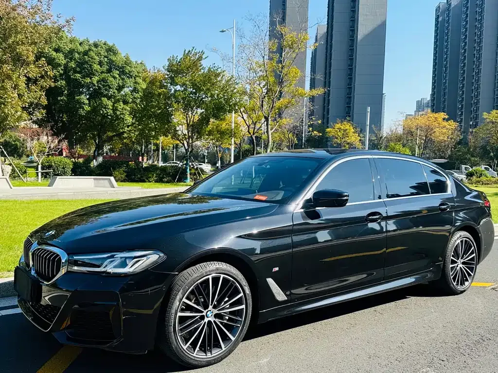 BMW 5 Series 2021 из CN, фото 1