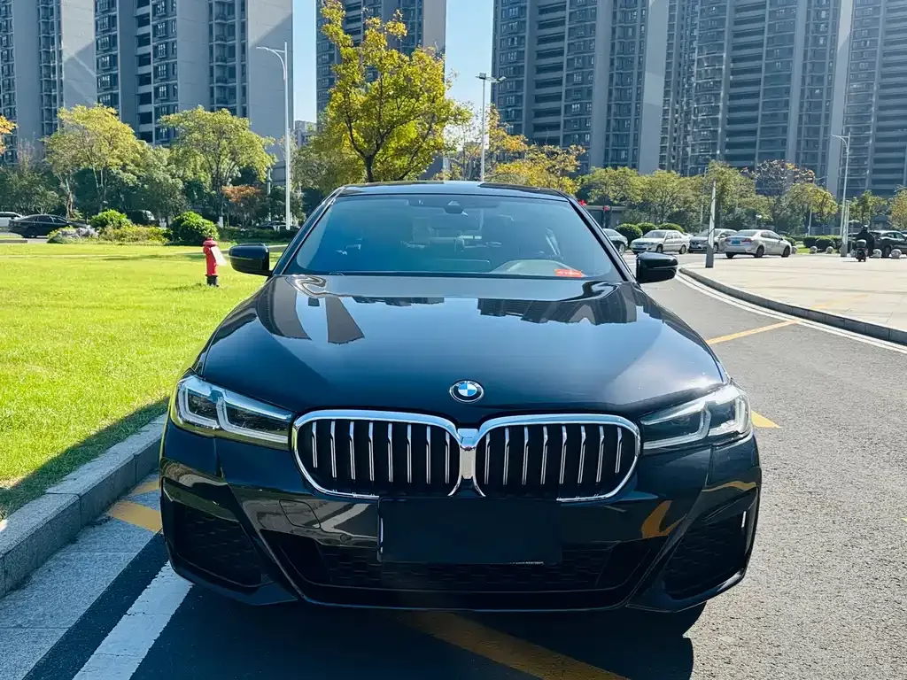 BMW 5 Series 2021 из CN, фото 2