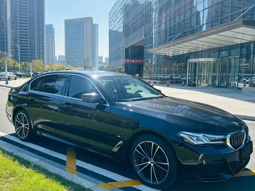 BMW 5 Series 2021 из CN, фото 3