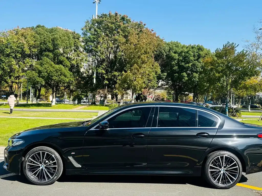 BMW 5 Series 2021 из CN, фото 4