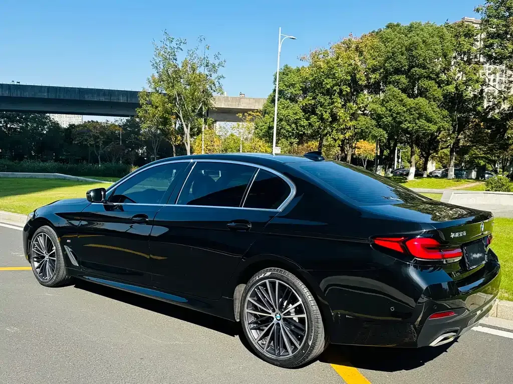 BMW 5 Series 2021 из CN, фото 5