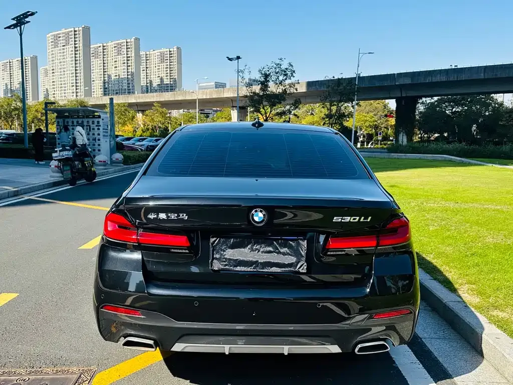 BMW 5 Series 2021 из CN, фото 6