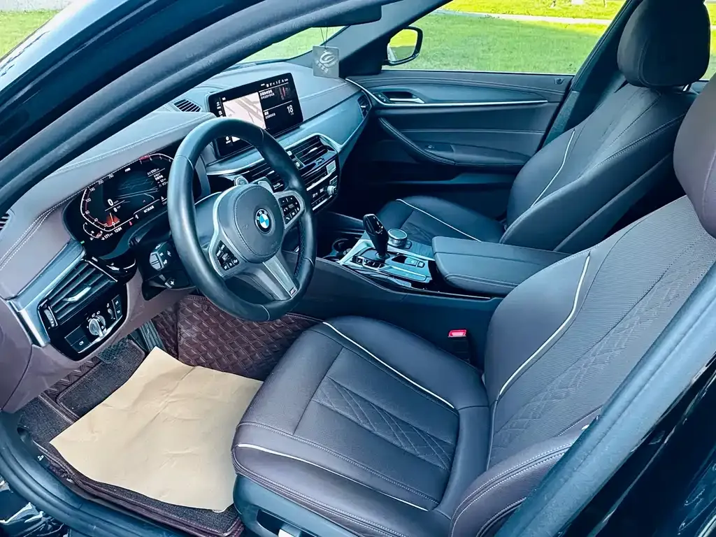 BMW 5 Series 2021 из CN, фото 7