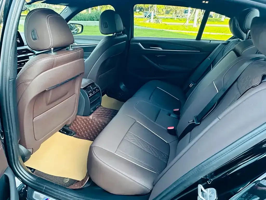 BMW 5 Series 2021 из CN, фото 8