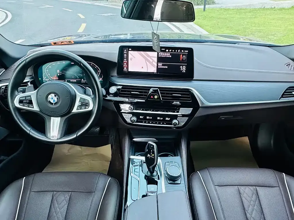 BMW 5 Series 2021 из CN, фото 9