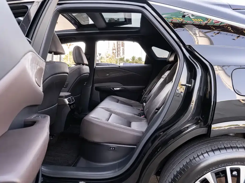 Lexus RX New Energy — фото 10