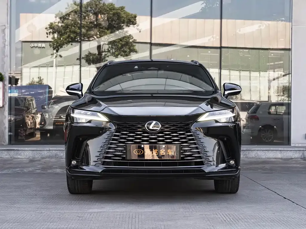 Lexus RX New Energy — фото 2