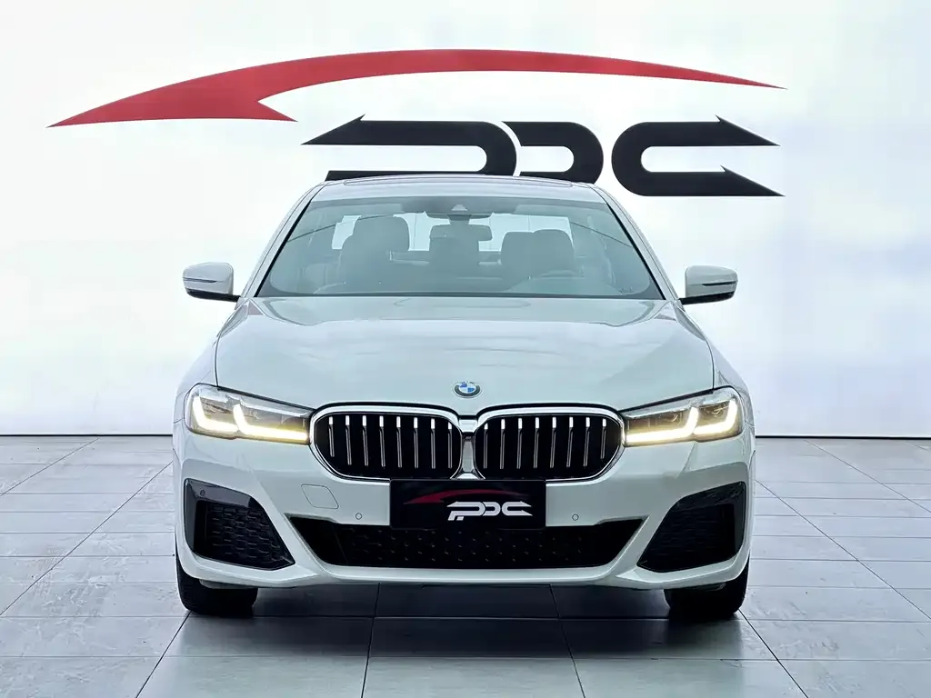 BMW 5 Series 2022 из CN, фото 1