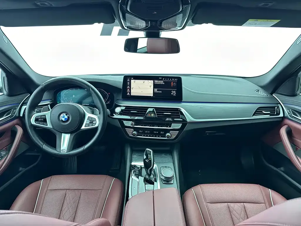 BMW 5 Series 2022 из CN, фото 7
