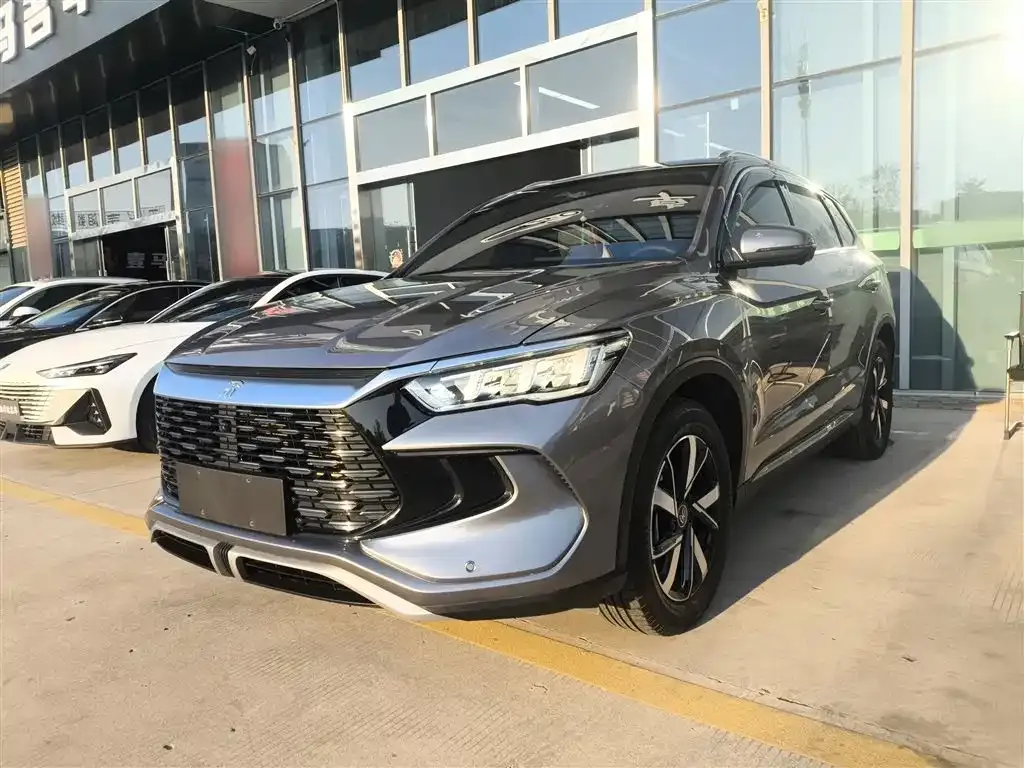 BYD Pro New Energy — фото 1