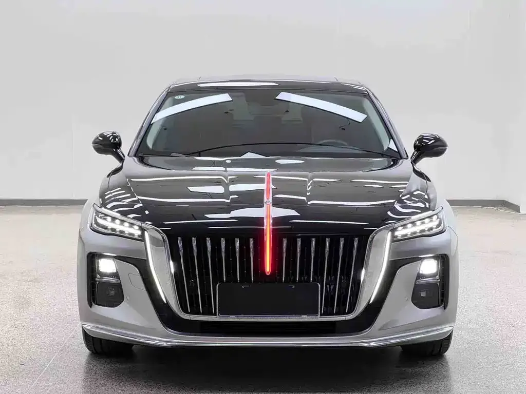 Hongqi H5 2024 из CN, фото 2