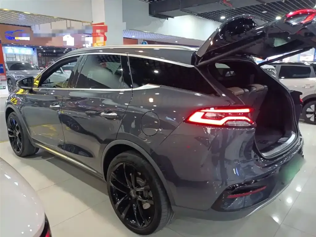 BYD Tang New Energy — фото 5