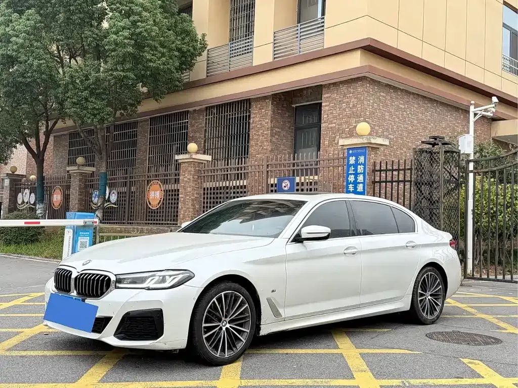 BMW 5 Series 2021 из CN, фото 1