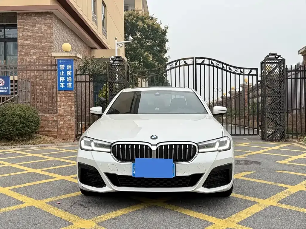 BMW 5 Series 2021 из CN, фото 2