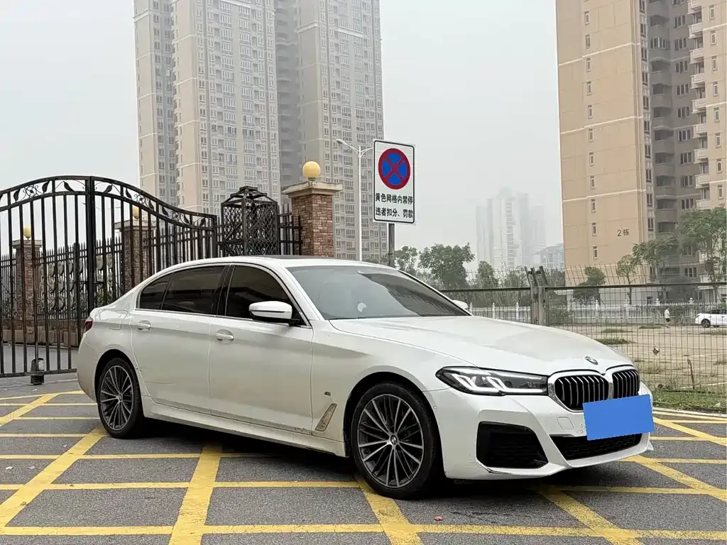 BMW 5 Series 2021 из CN, фото 3