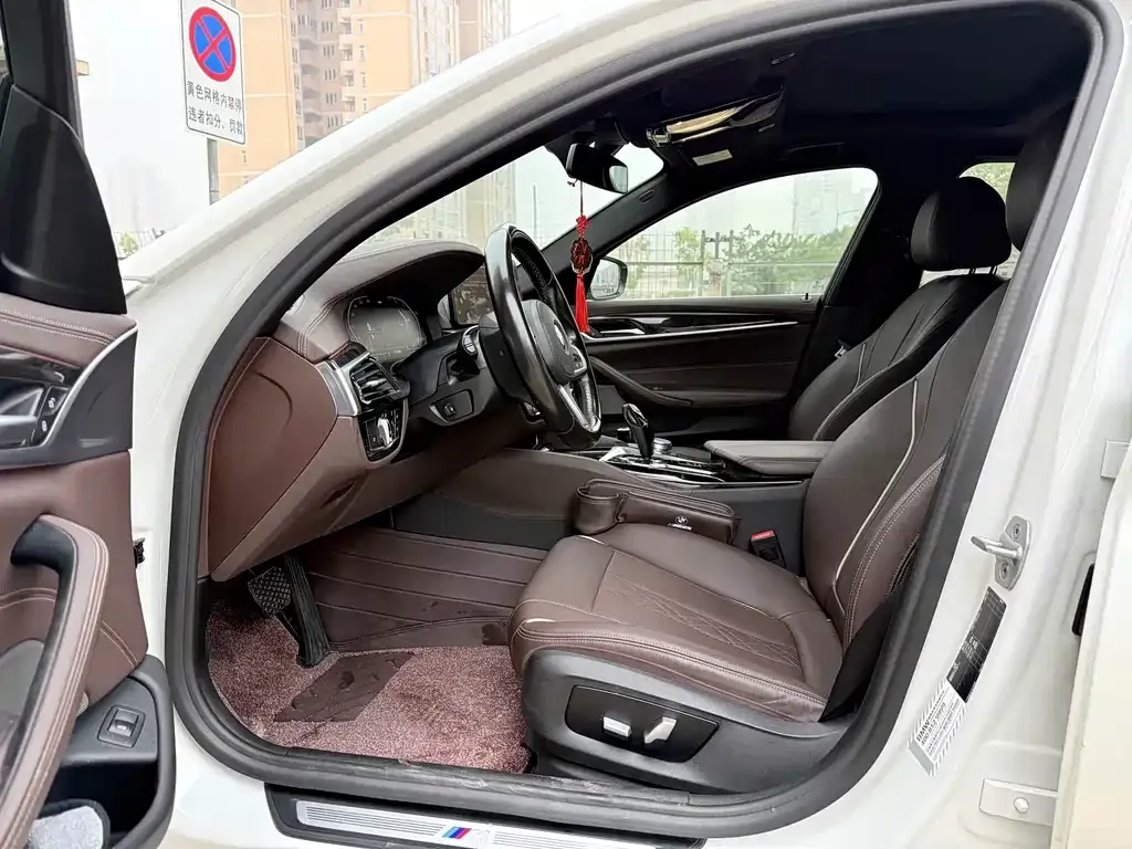 BMW 5 Series 2021 из CN, фото 4