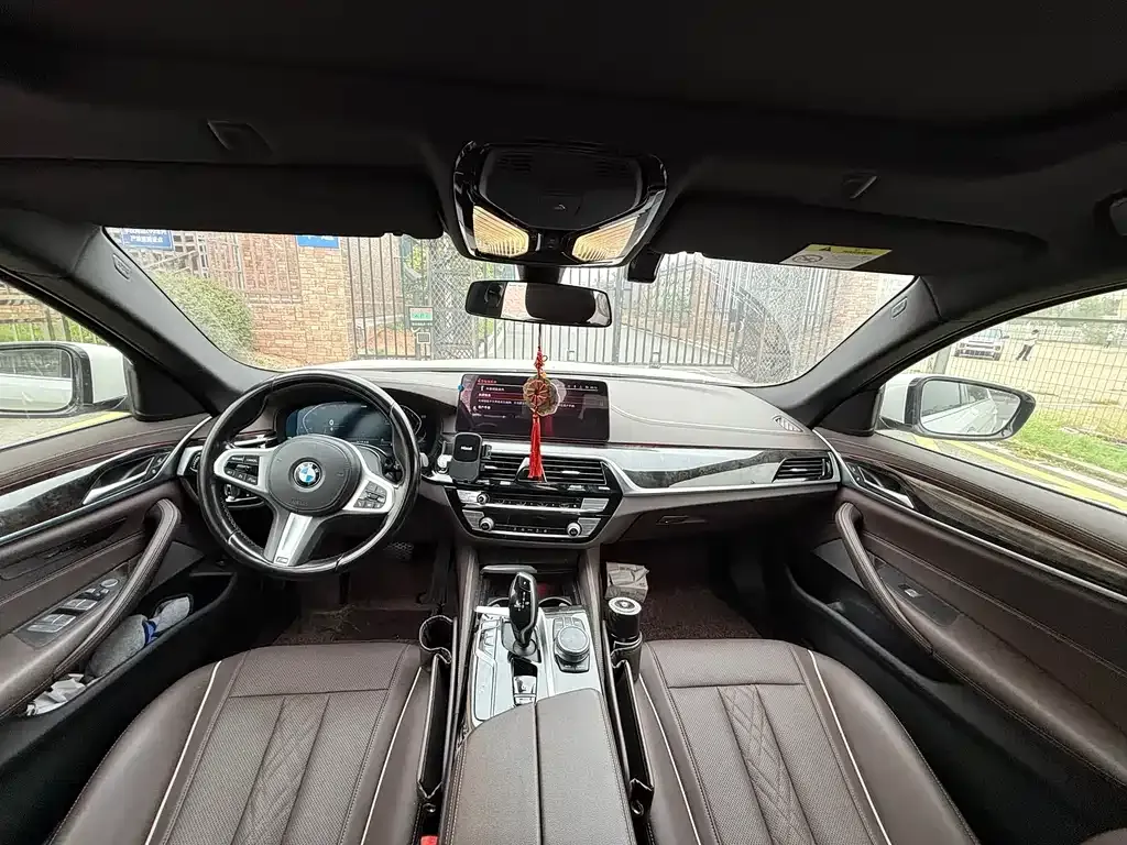 BMW 5 Series 2021 из CN, фото 6
