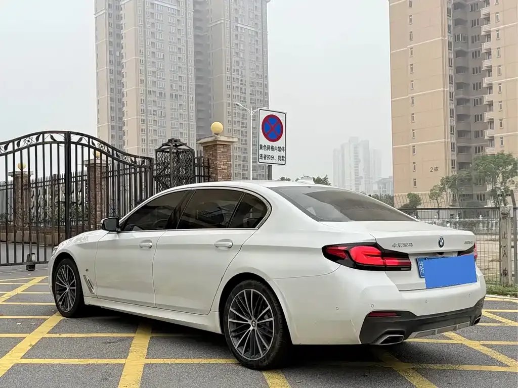 BMW 5 Series 2021 из CN, фото 7