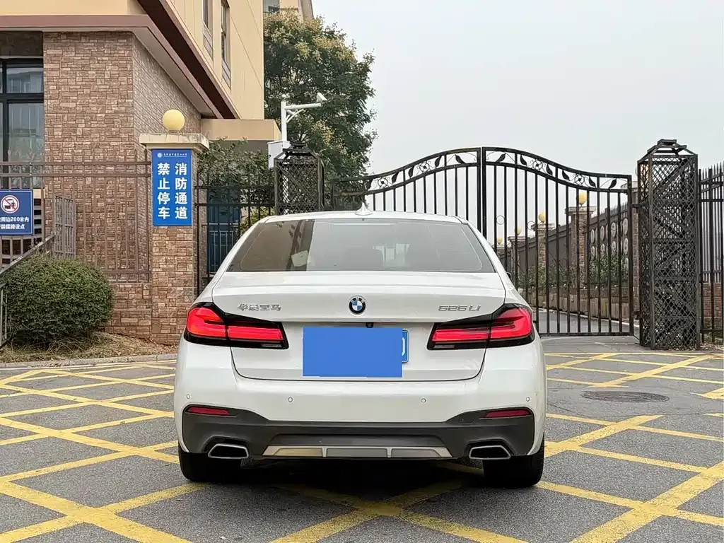 BMW 5 Series 2021 из CN, фото 8