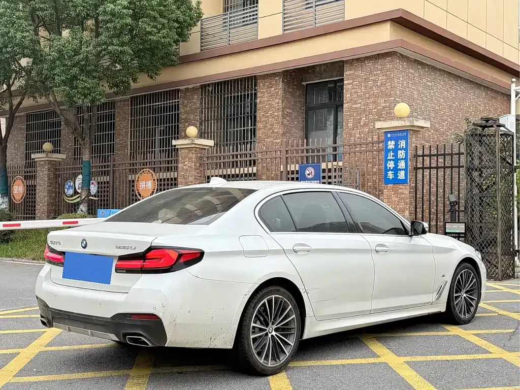 BMW 5 Series 2021 из CN, фото 9