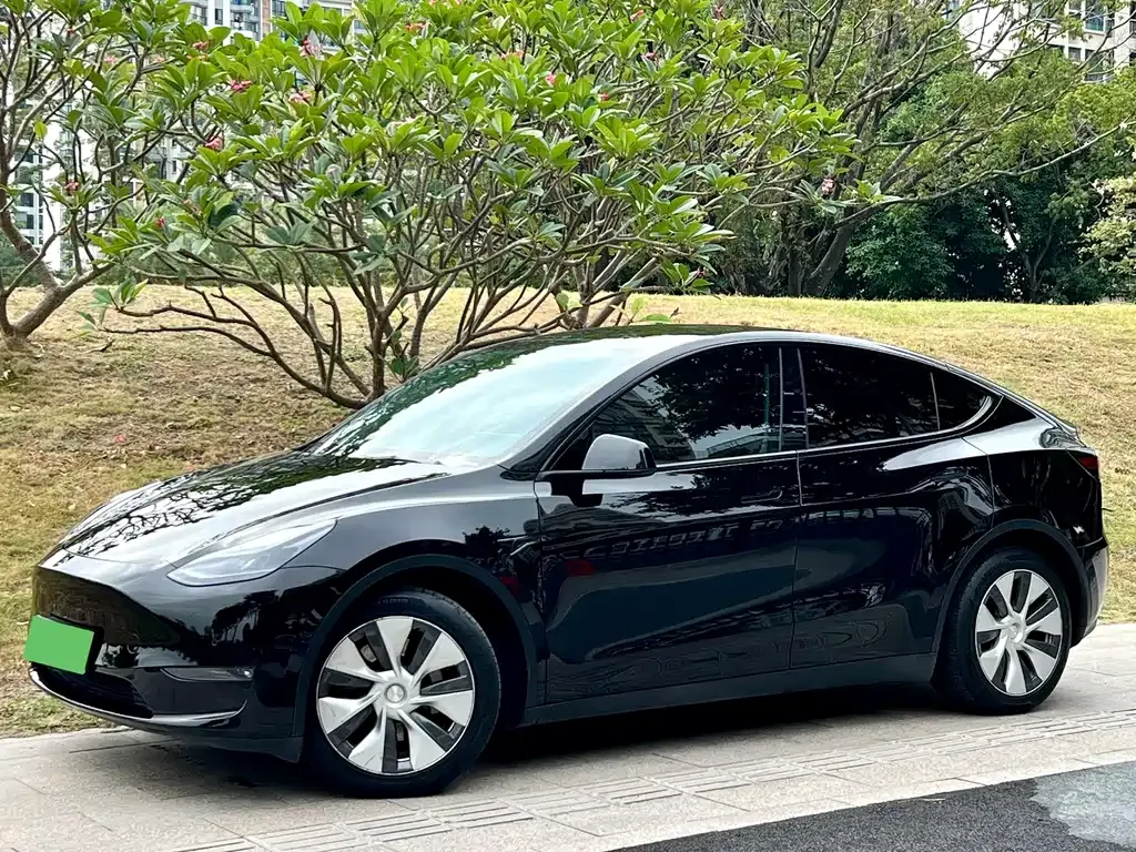 Tesla Model Y 2022 из CN, фото 1