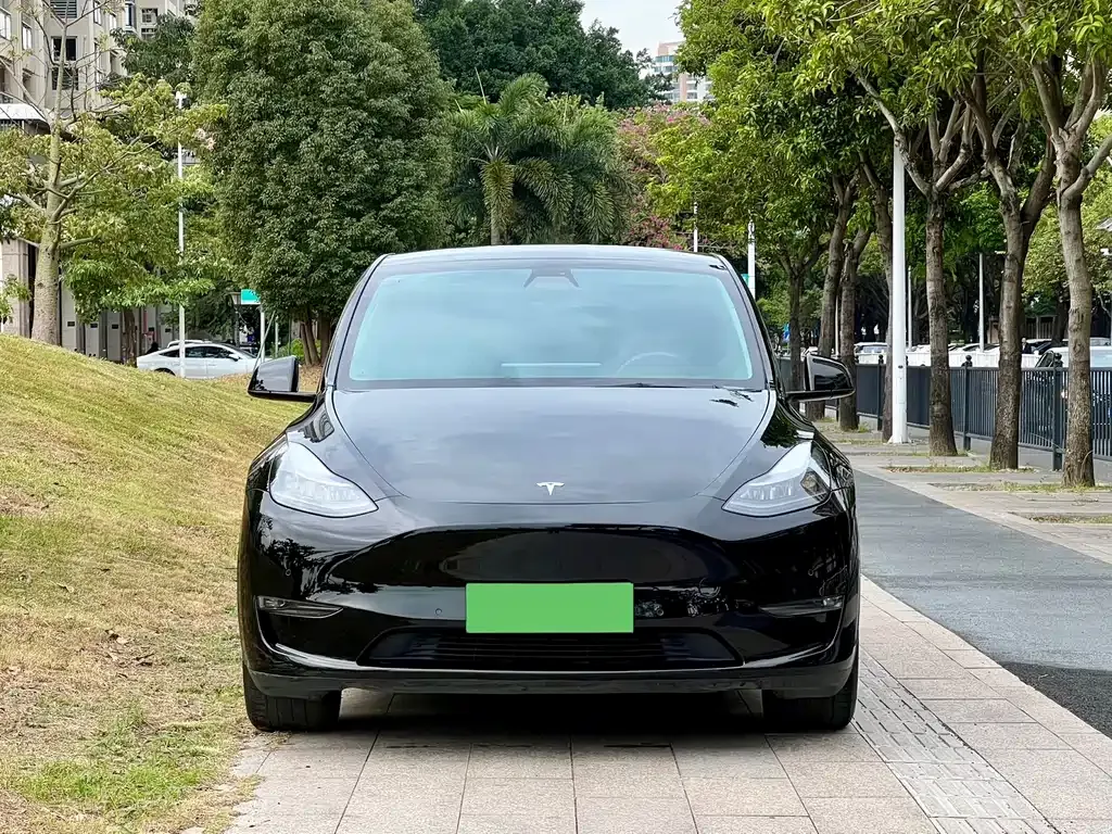 Tesla Model Y 2022 из CN, фото 2