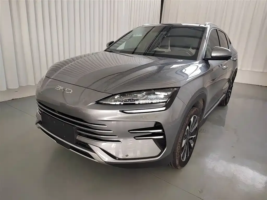 BYD PLUS New Energy 2024 из CN, фото 2