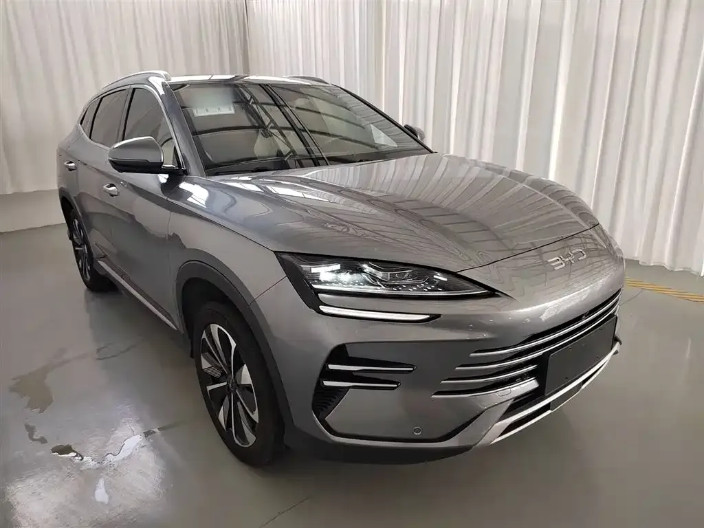 BYD PLUS New Energy 2024 из CN, фото 4