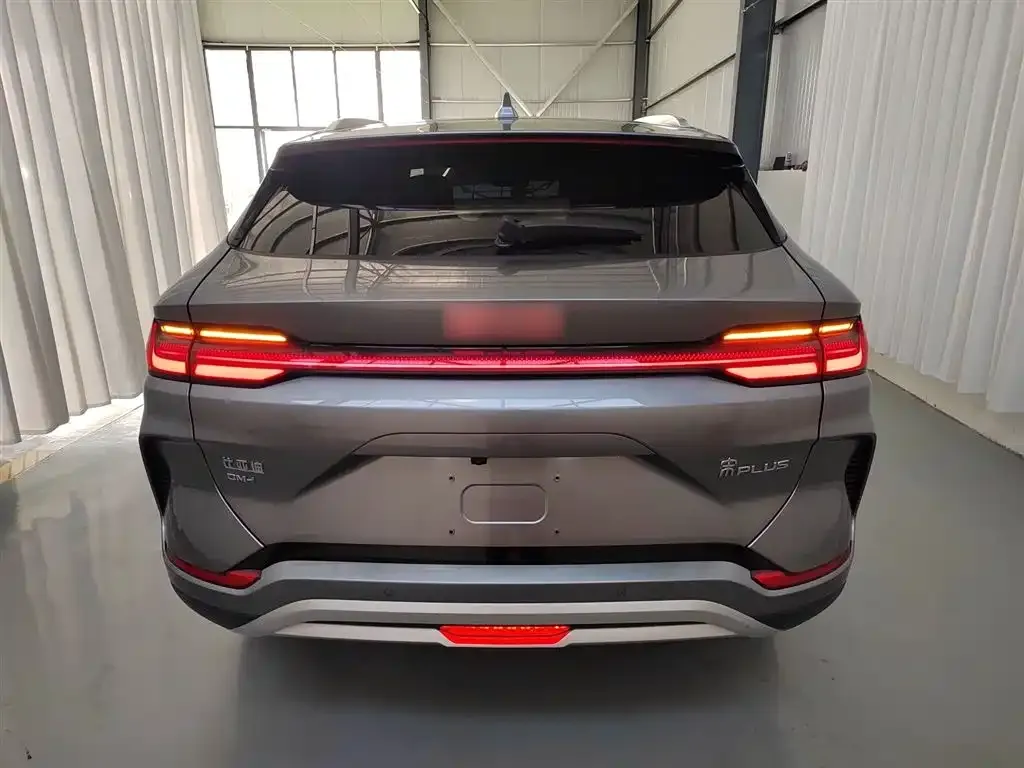 BYD PLUS New Energy 2024 из CN, фото 6
