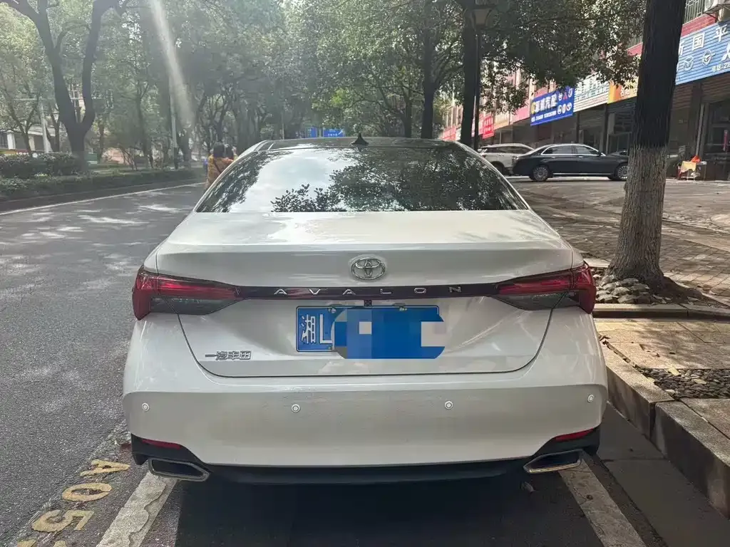 [object Object] Avalon 2022 из CN, фото 3