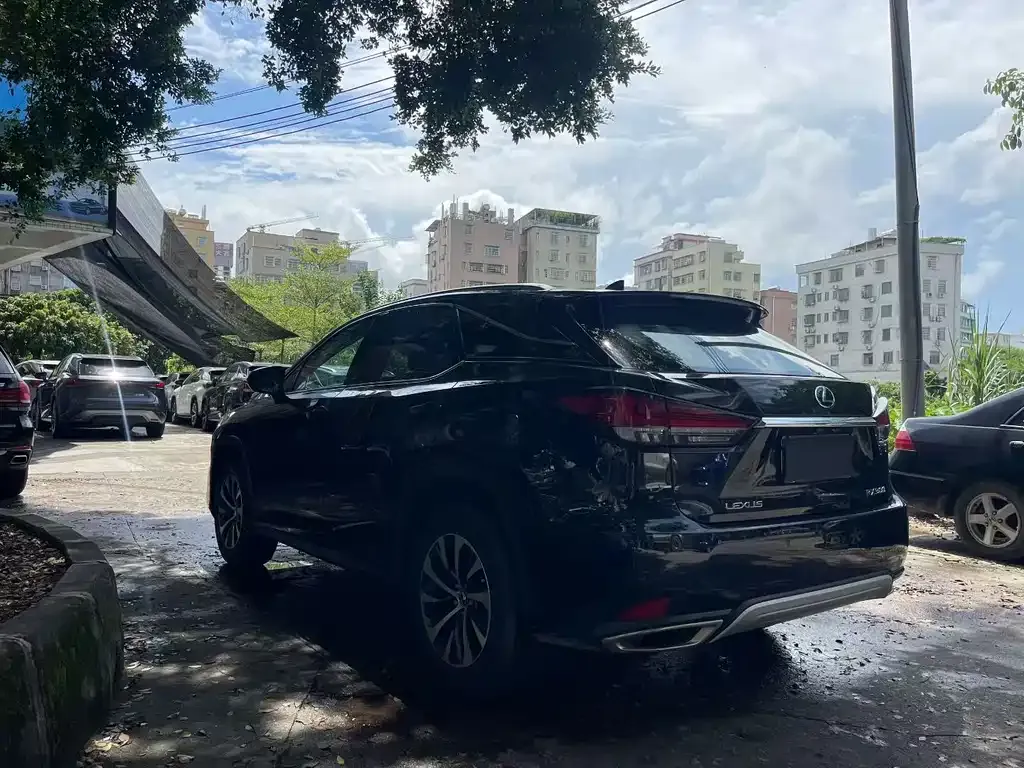 Lexus RX — фото 9