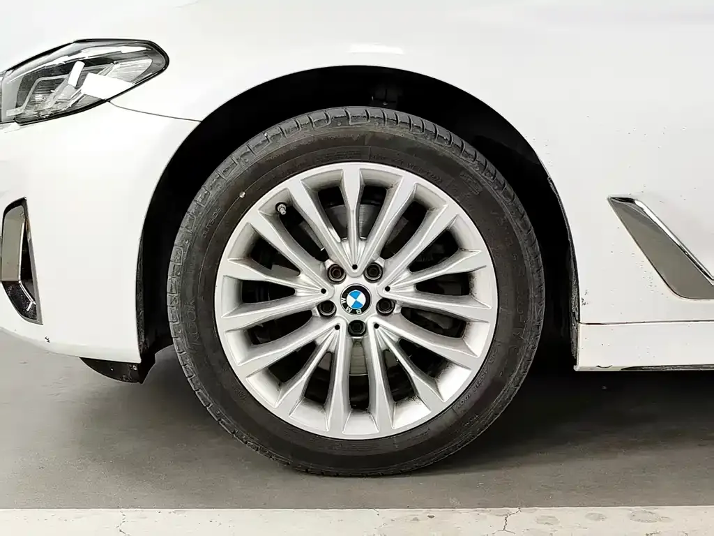 BMW 5 Series 2024 из CN, фото 4