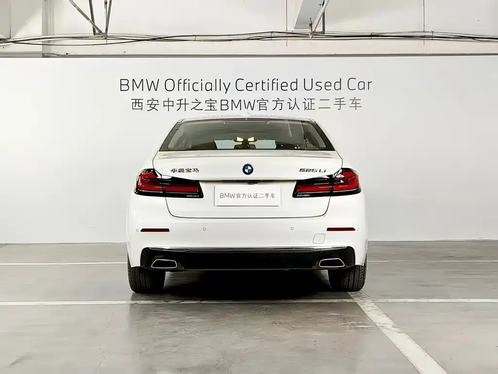 BMW 5 Series 2024 из CN, фото 6