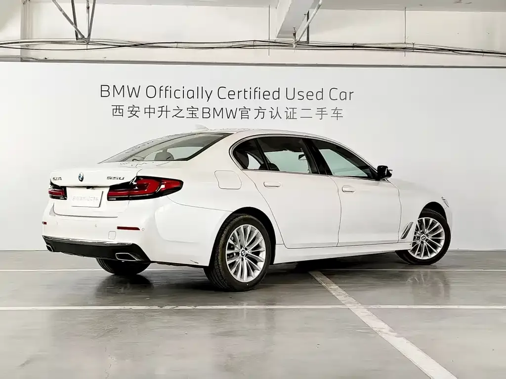 BMW 5 Series 2024 из CN, фото 9