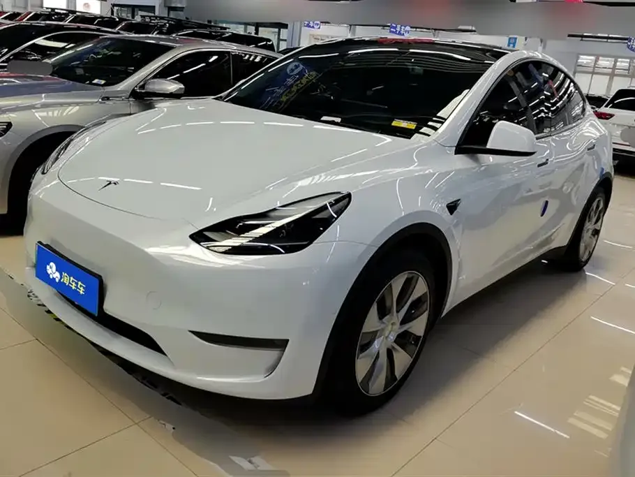 Tesla Model Y 2021 из CN, фото 1