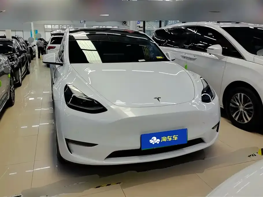 Tesla Model Y 2021 из CN, фото 2
