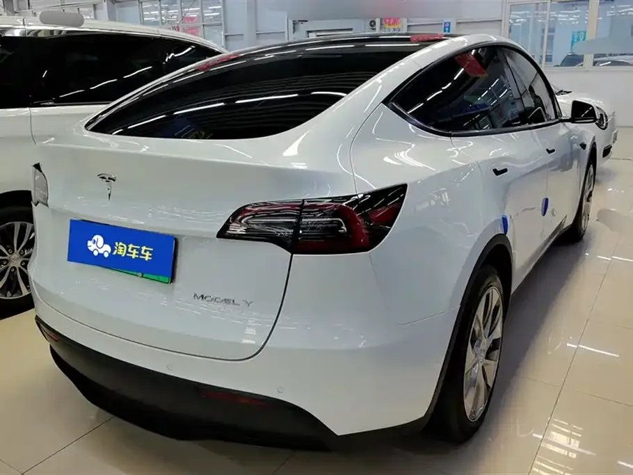 Tesla Model Y 2021 из CN, фото 3