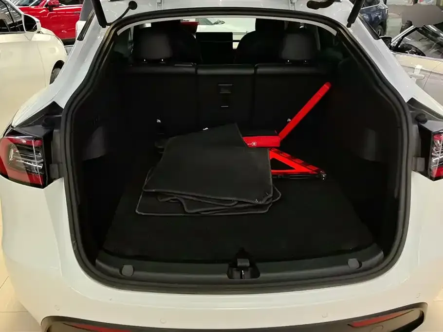 Tesla Model Y 2021 из CN, фото 4